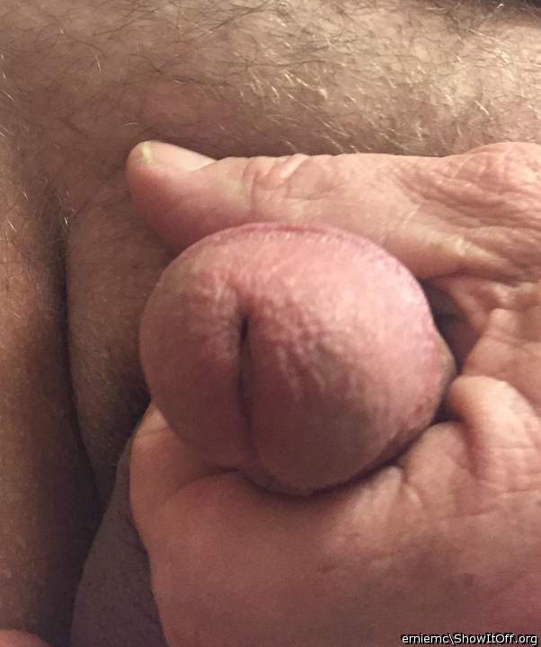 Id suck me
