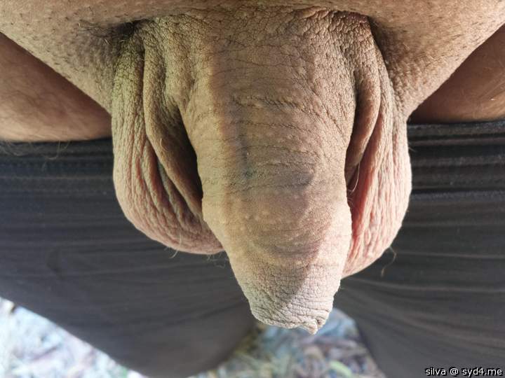 Photo of a prick from silva
