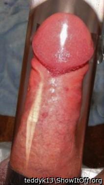Photo of a pecker from teddyk13
