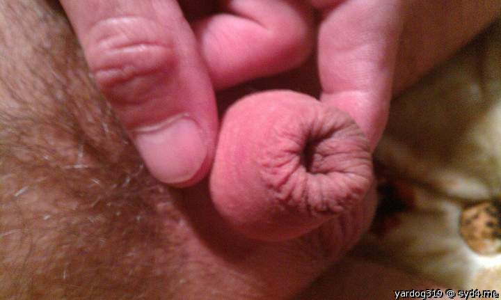     good foreskin