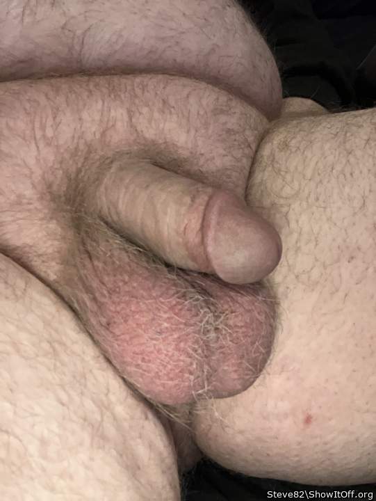 Photo of a weasel from Steve82
