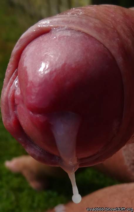 Photo of a sausage from sivad666