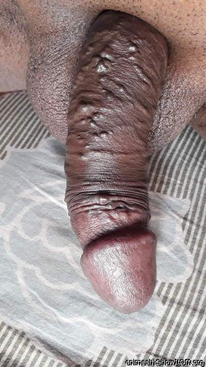 Photo of a wiener from Animesh