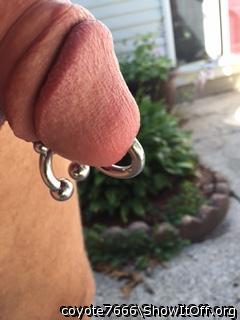 Nice cock and piercings