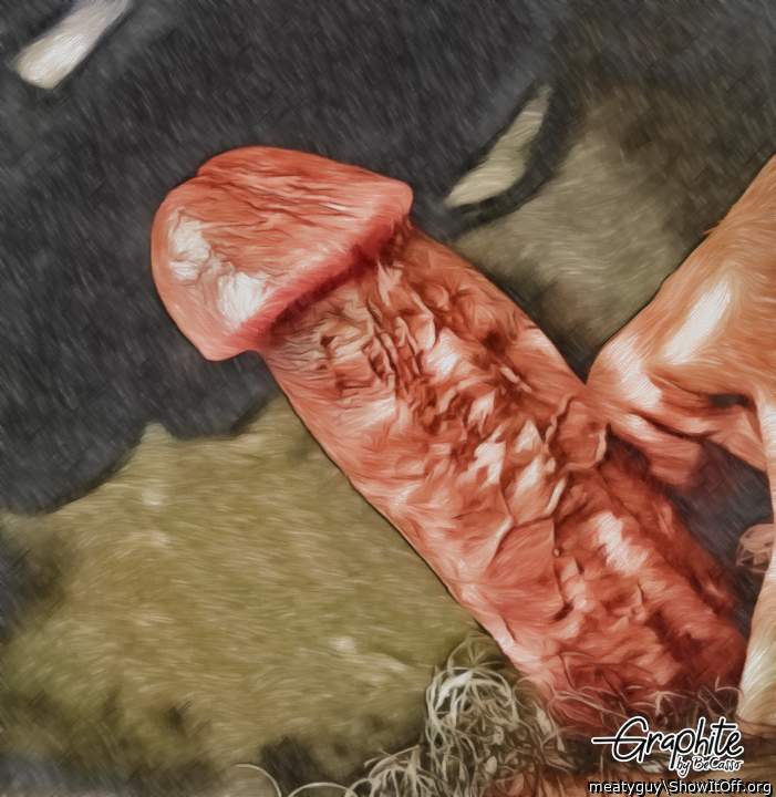 Photo of a lizard from meatyguy