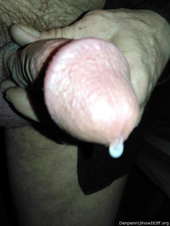 Photo of a prick from Denpenn