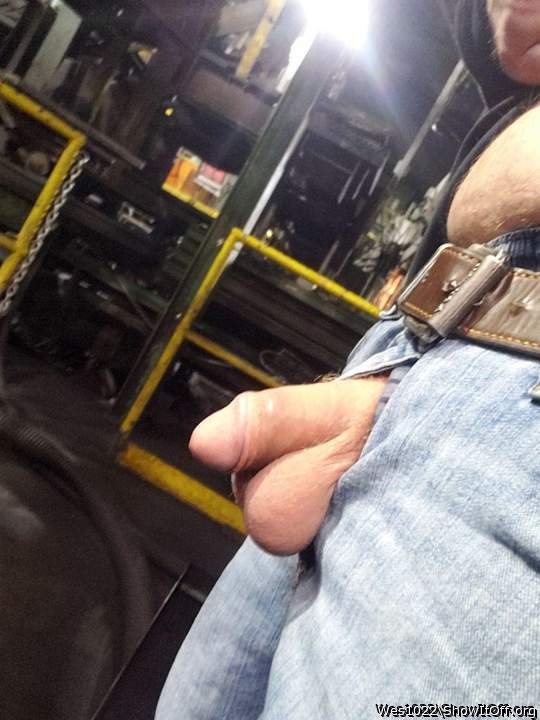 Photo of a snake from Wes1022