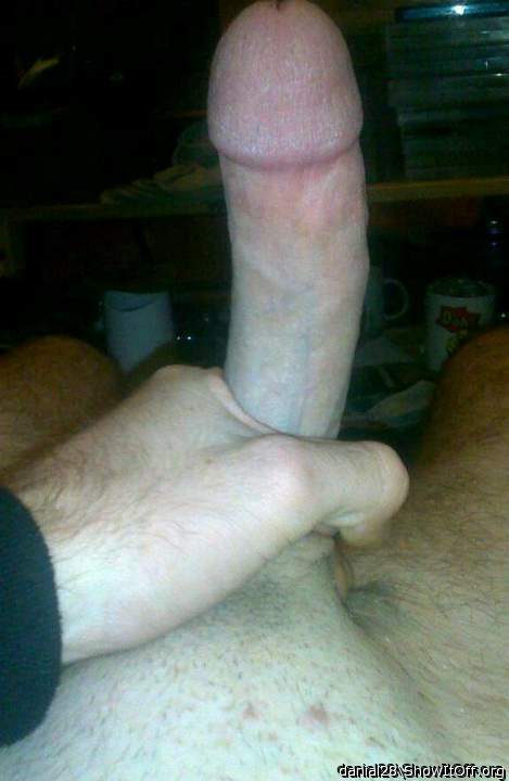 Photo of a cavalier from danial28