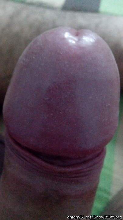 Photo of a bat from antony51me