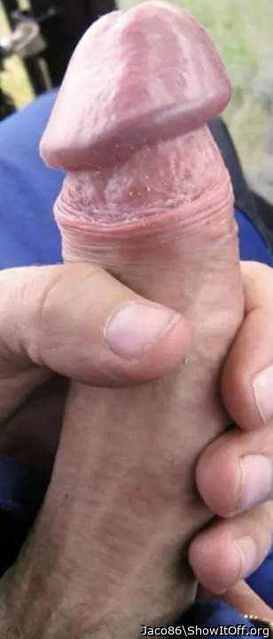 Photo of a third leg from Jaco86