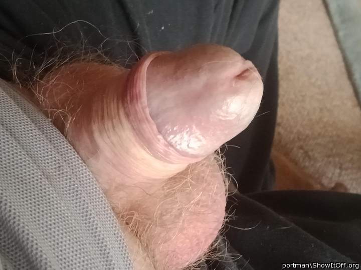 Ginger