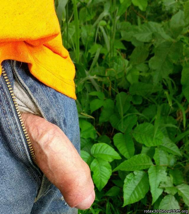nice uncut cock   