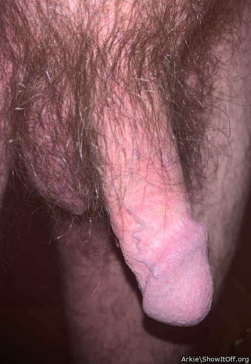 Photo of a bald-headed mouse from Arkie