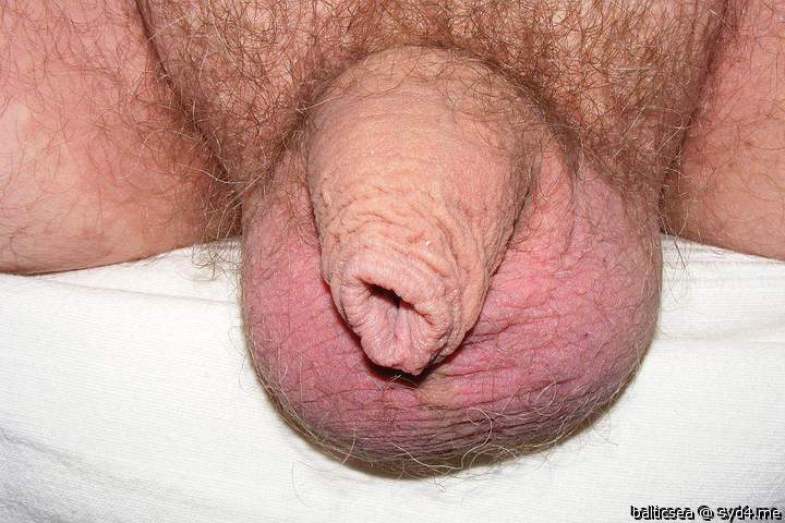 Photo of a meat stick from balticsea