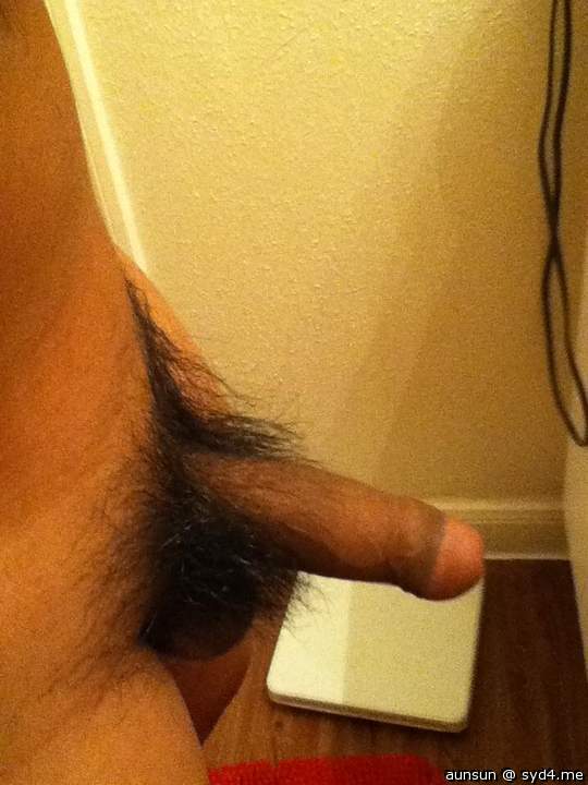 Photo of a dick from aunsun