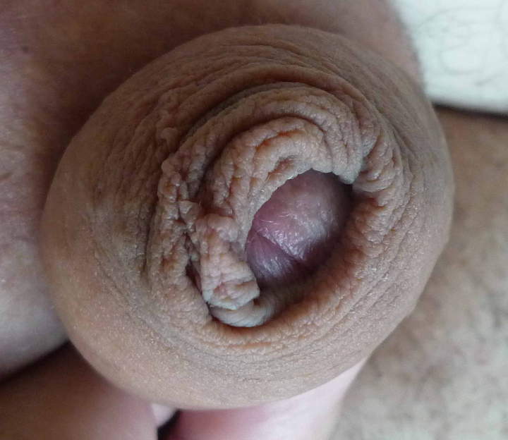 Photo of a horn from nylonlover