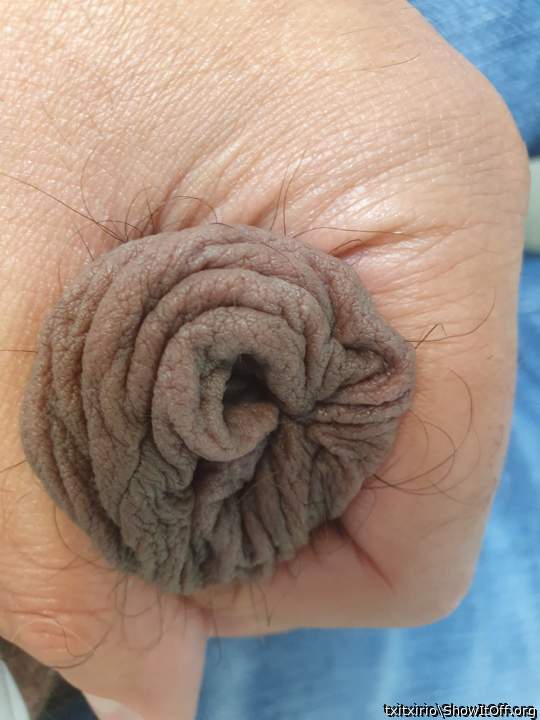 My crumpled softie foreskin.