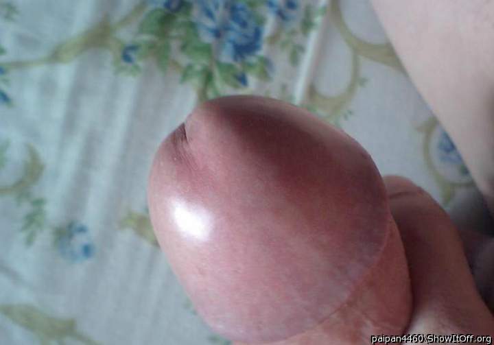 what a nice sucker cock 