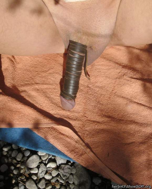 Photo of a prick from herbi43