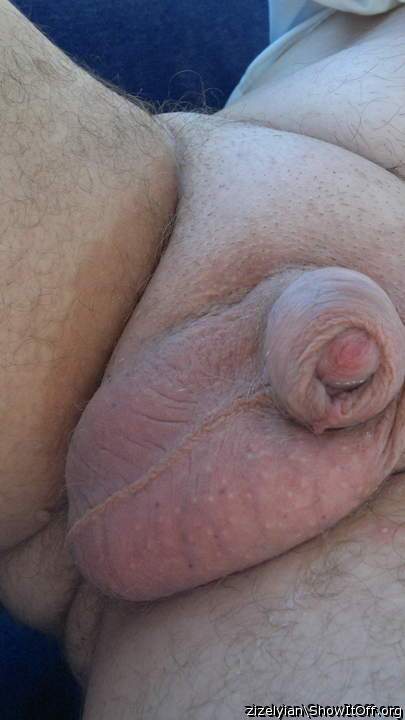 Photo of a pecker from zizelyian