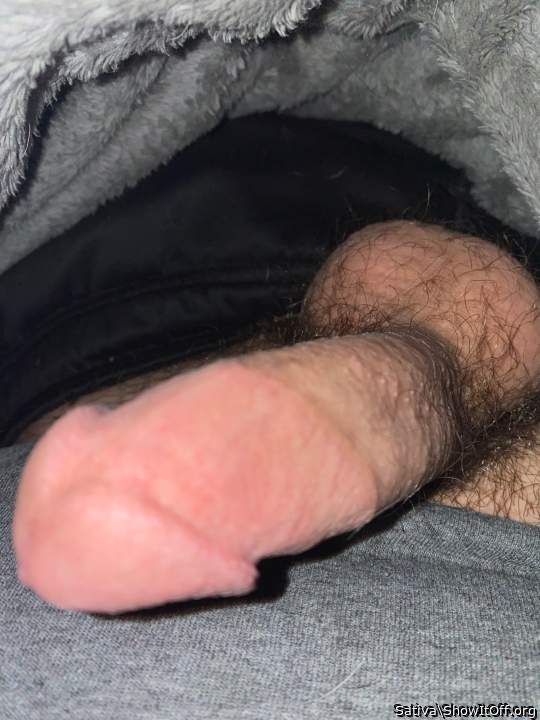 Photo of a cock from Sativa