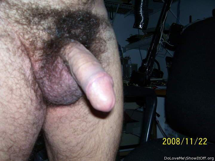 Photo of a cavalier from DoLoveMe