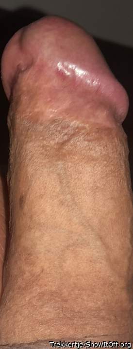 Photo of a dick from Trekkertje