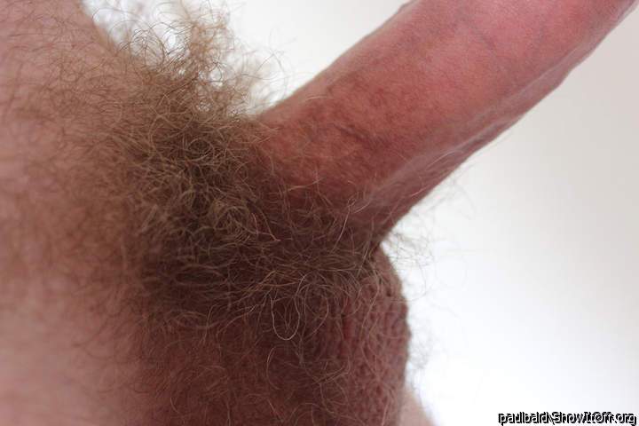 Your screen name would fit a lot better if you shave that bu