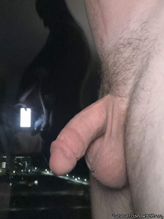 beautiful dick and balls 