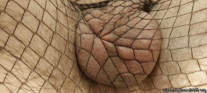 Testicles Photo from zizou11