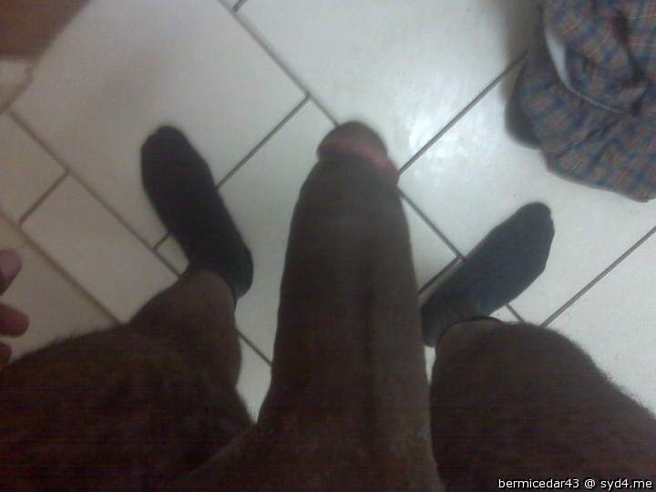 Photo of a boner from bermicedar43