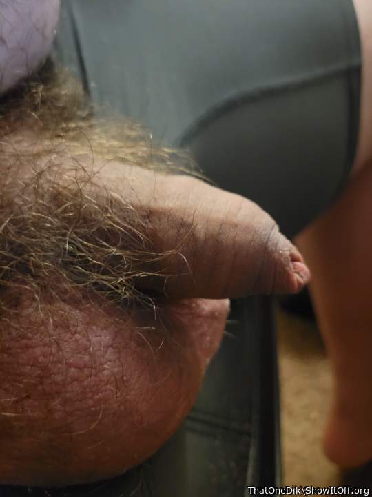 Photo of a dong from ThatOneDik