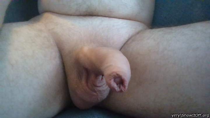 Photo of a prick from yirry