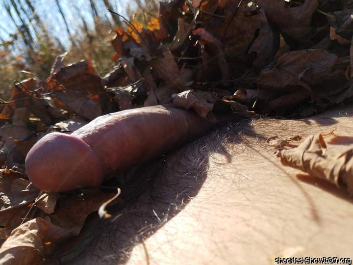 Probably the Last Nice Day of Fall