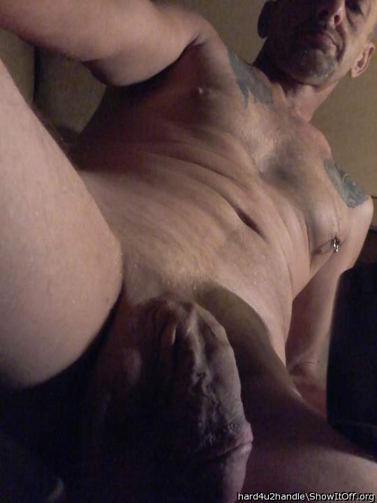 Photo of a weasel from hard4u2handle