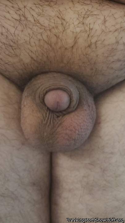 Photo of a thing from Trevkingston