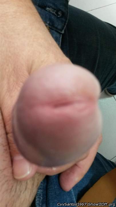 Photo of a member from CvvSantos1967