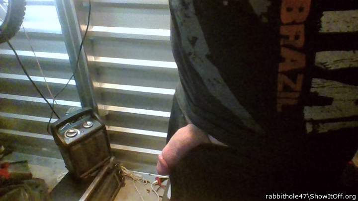 Photo of a horn from rabbithole47