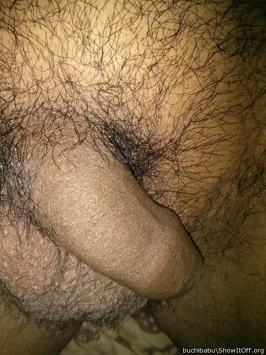 Photo of a python from pavan