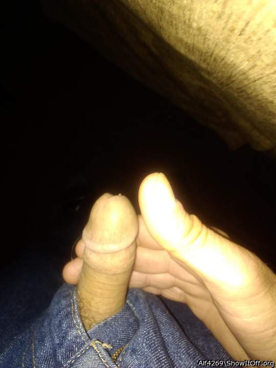 Photo of a cock from Alf4269