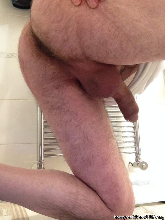Photo of a weasel from hornymat