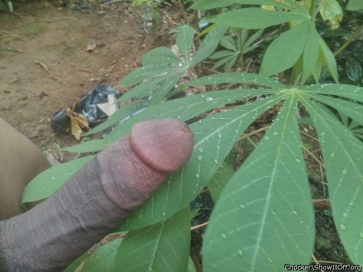 you need a suck off?     cum in