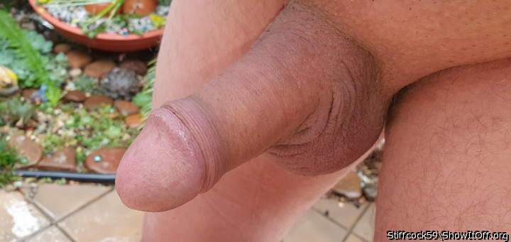 Photo of a snake from Stiffcock59