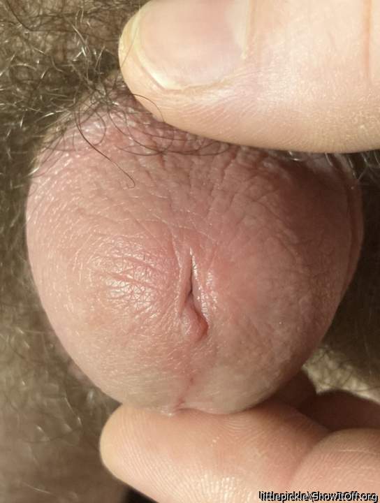 Tiny squeak Toy