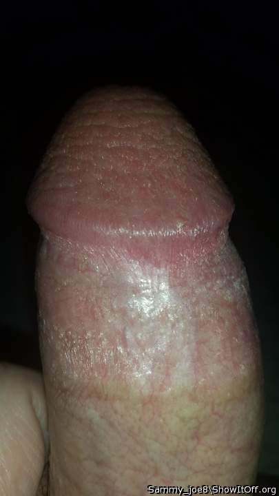 Photo of a horn from Sammy_joe8