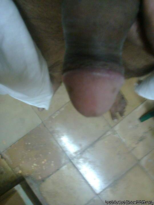 Photo of a pecker from pavan