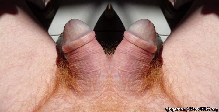 Circumcise one and leave foreskin on the other. That would b