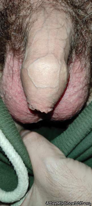 Lovely uncut dick