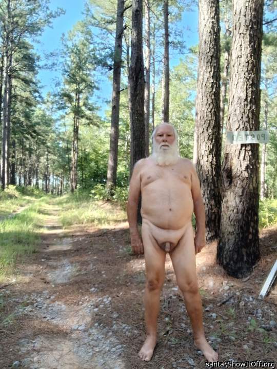 Photo of a cavalier from santa