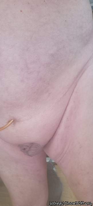 Photo of a hot dog from jobleau